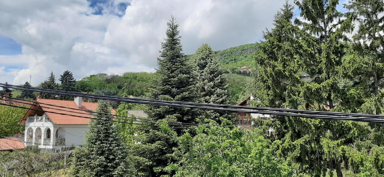 Nagy Vendeghaz Hotel Badacsonytomaj Exterior photo